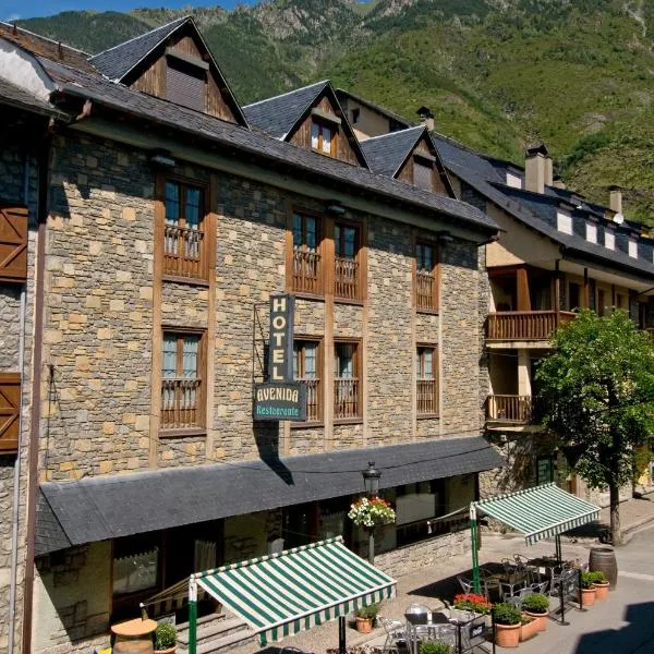 Hotel Avenida Benasque、ベナスケのホテル