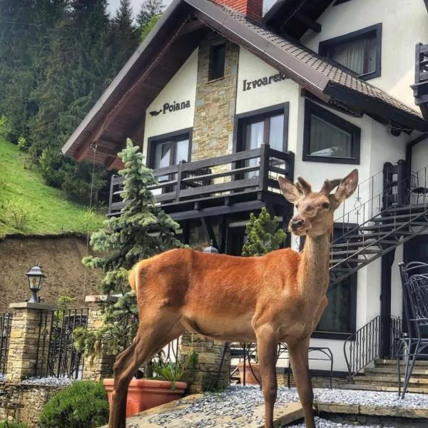 Pensiunea Poiana Izvoarelor, hotel in Vatra Dornei