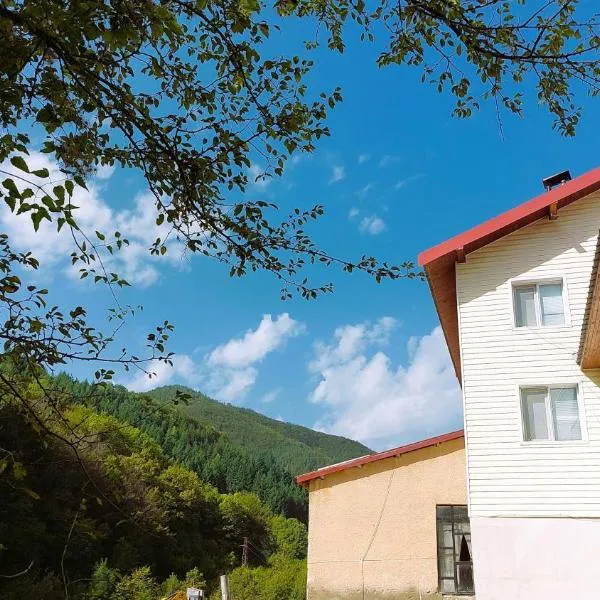 Къща за гости ДАП Баните, hotel Banitében