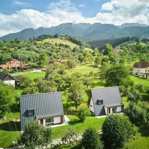 Aruna Bran, hotel v destinaci Bran