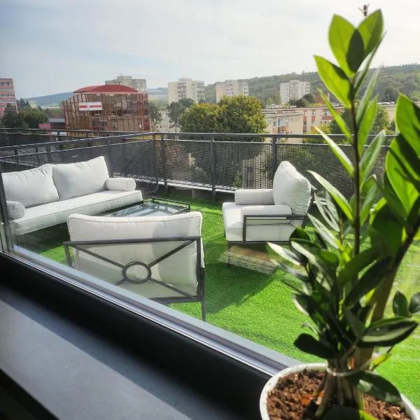 Best View Terrace、トゥルグ・ムレシュのホテル