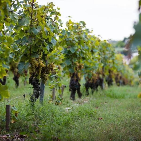 Gîte au milieu des vignes: Prignac-et-Marcamps şehrinde bir otel