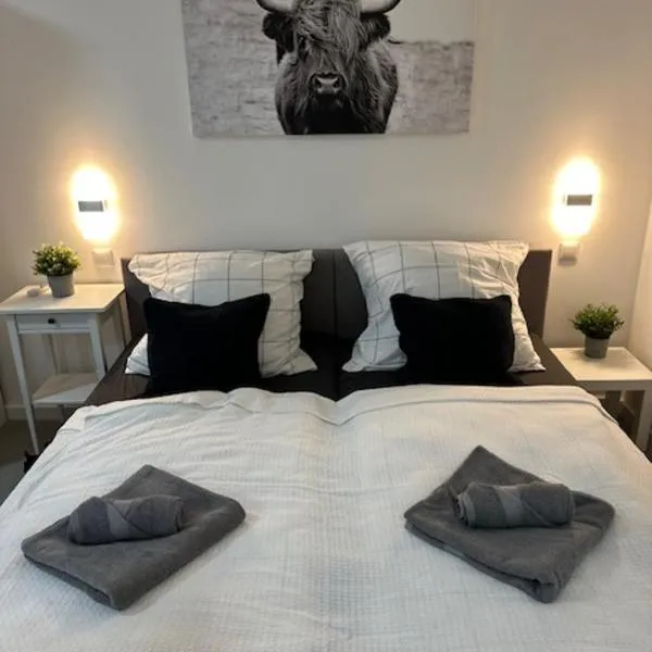 Ferienwohnung Domspatz mit Klimaanlage, hotel v destinaci Magdeburk
