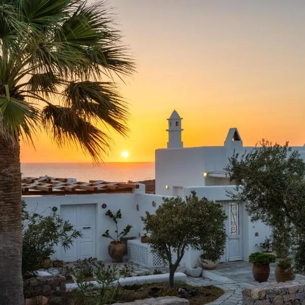 Anema Boutique Hotel & Villas Santorini, hotel in Vourvoulos
