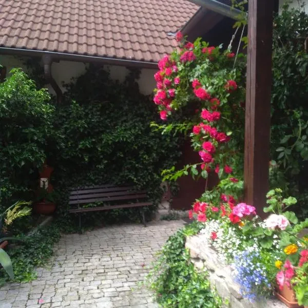 Apartmán pod Boubínem, hotel v destinaci Šumavské Hoštice