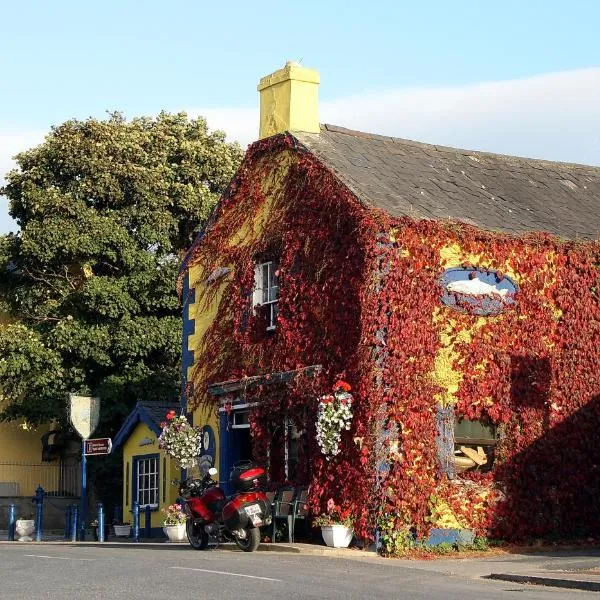 Kingfisher Lodge & Pub, hotel v destinaci Castleconnell