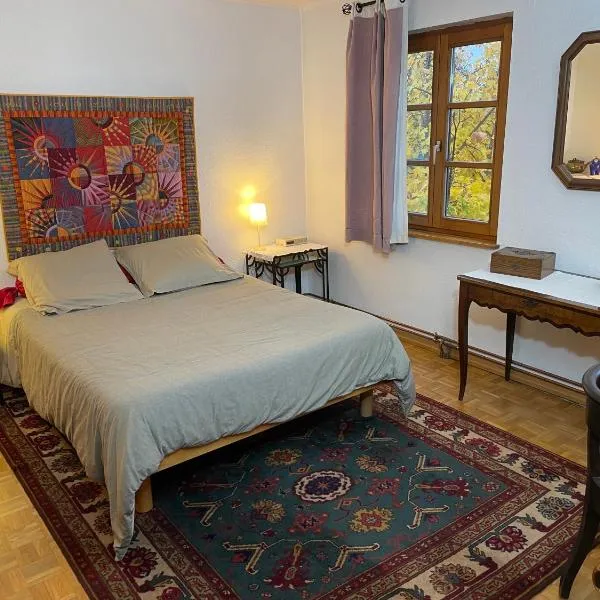 Chez Rosa, hotel v destinaci Haguenau