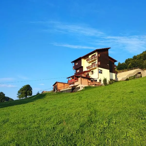 Pensiunea Daria, hotel di Fundata