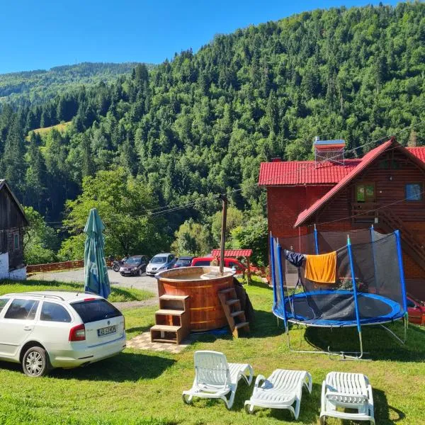 Pensiunea Cabana Viselor, hotel v destinaci Vadu Moţilor