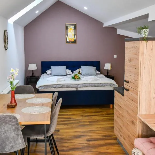 Studio apartment OAZA, hotel in Sisak