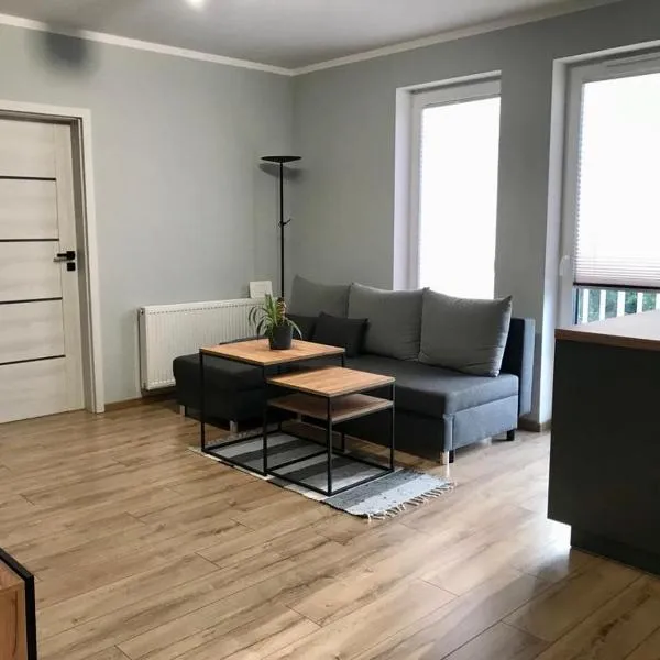 APARTAMENT DĘBOWY, hotel in Trzcianka