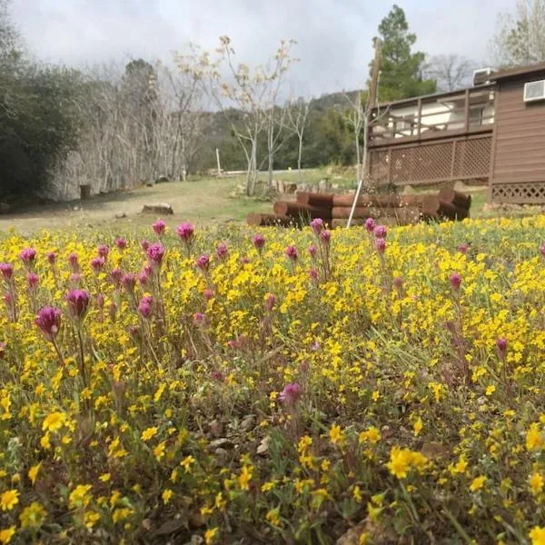 Shirley Creek Retreat: a Mountain Oasis, hotell sihtkohas Wofford Heights