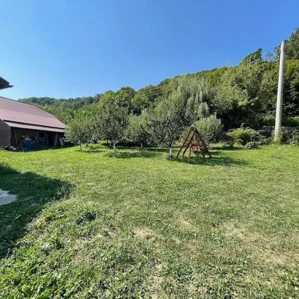 Casa Bunicilor, hotel v destinaci Robaia