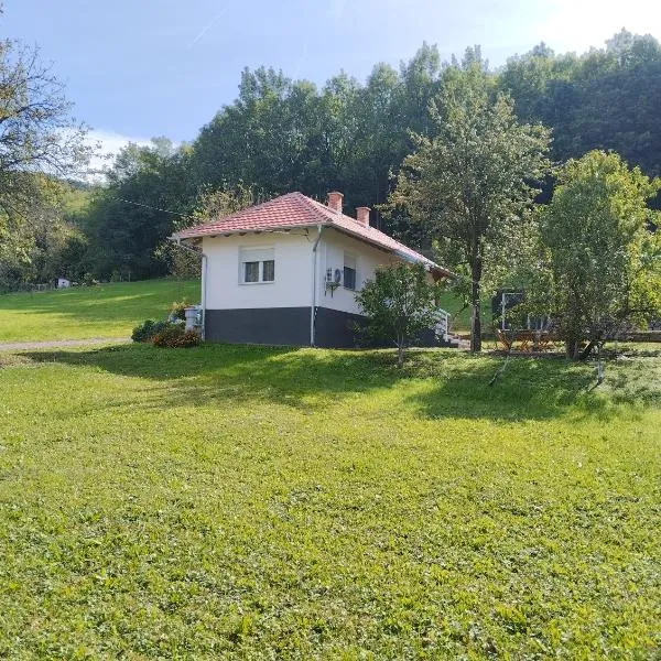 Vitovnicki Mir, hotel v Petrovacu na Mlavi