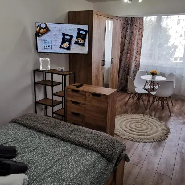 Ana Studio, hotel a Tîrgu Mures