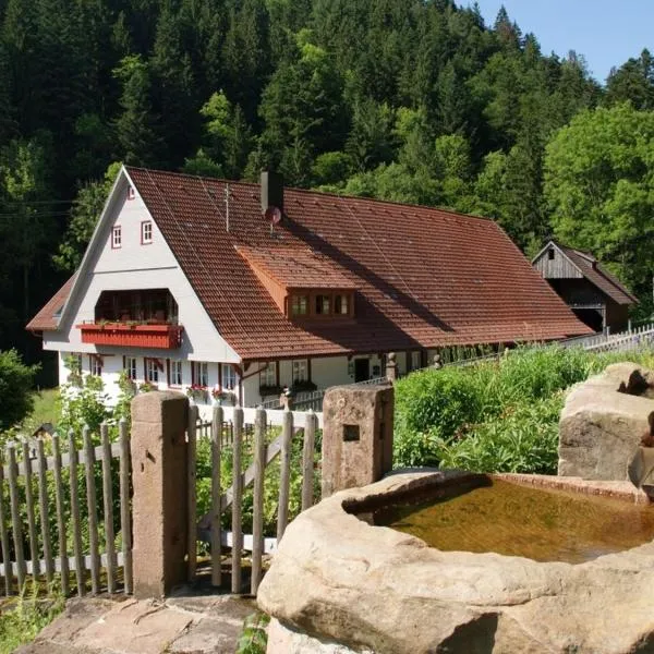 Appartement Im Hof, 36qm, hotel v destinaci Schenkenzell