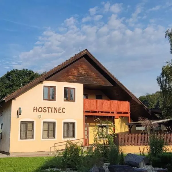 Penzion Bystřička、ヴセティーンのホテル