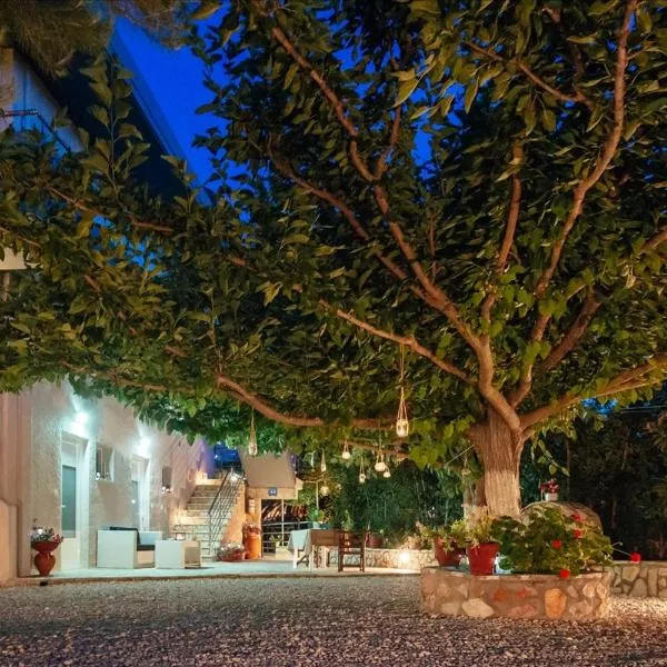 Dimitra Apartments, Hotel in Kandia