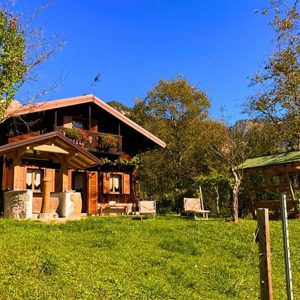 Chalet Relax Tra Le Vigne, hotel en Forni di Sopra