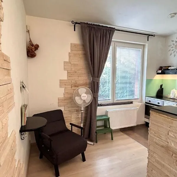 Bastien Studio near Airport, hotel v Praze