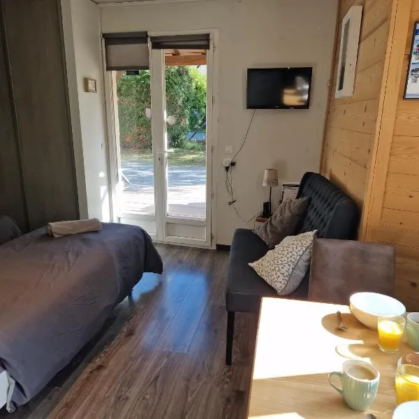 Studio La Cabane Centre Ville, hotel in Le Bourg-dʼOisans