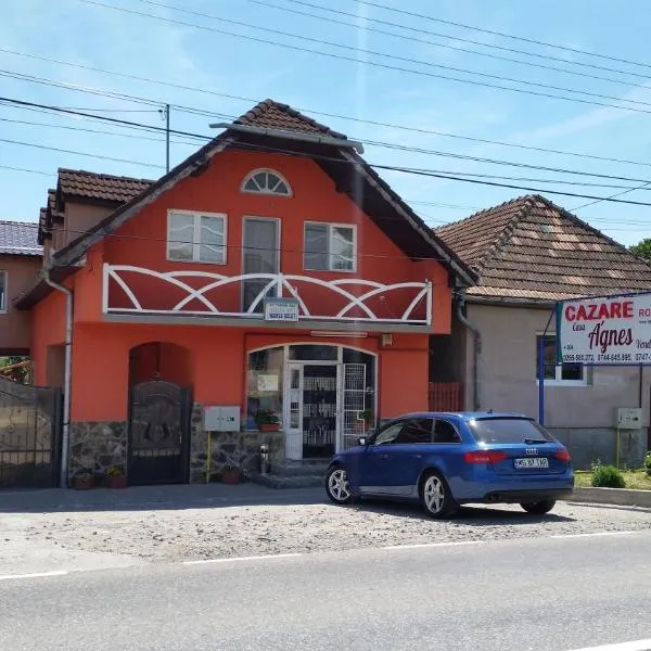 Casa Agnes Vendeghaz、Fîntîneleのホテル
