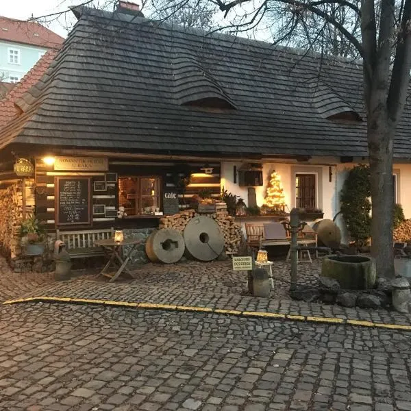 Romantik Hotel U Raka, hotel in Prague