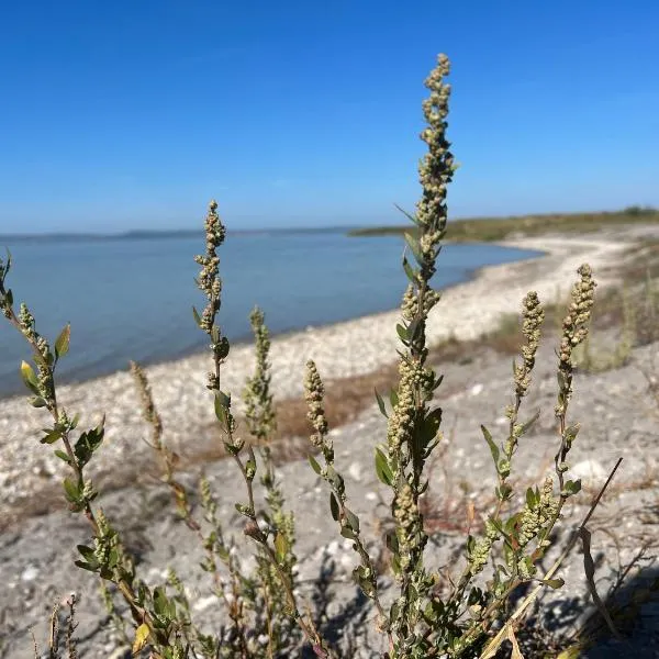 골스에 위치한 호텔 Mediterrane Ferien Villa am Neusiedler See