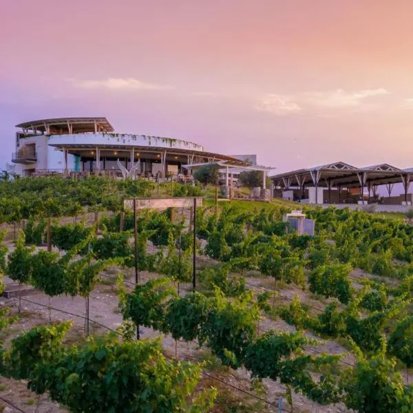 Hotel Vinícola Parvada by Lumina โรงแรมในปาร์ราส เด ลา ฟอนเต