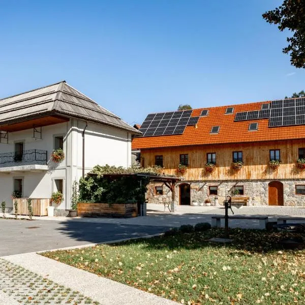 Youth Hostel Arsviva, hotel in Žerovnica