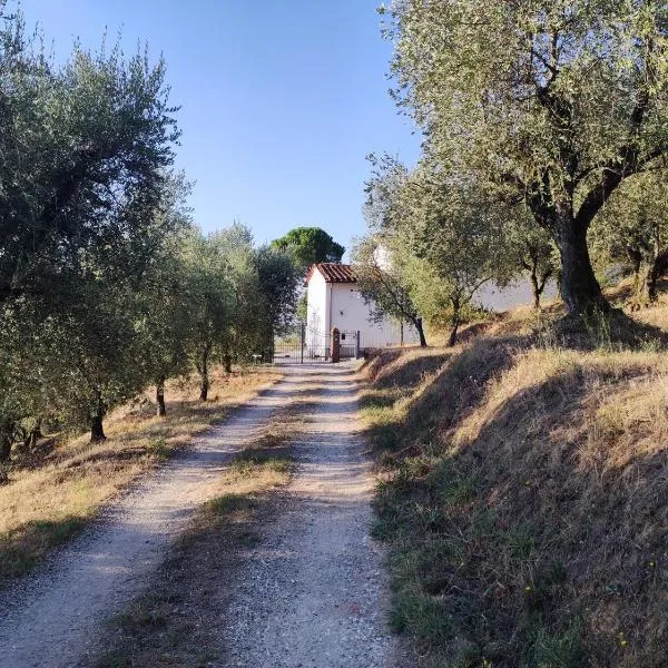 Da Poldino, hotel v destinácii Borgo a Buggiano