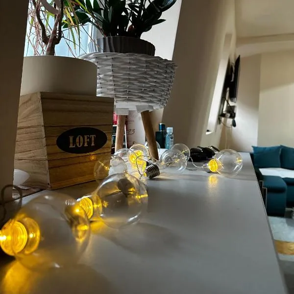Cozy loft, hotel v Bělehradě