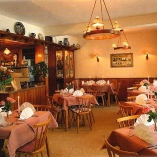 Bayerischer Hof, hotel v destinaci Amorbach