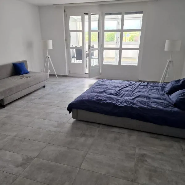 Mountain view apartments in Cressier near Murten、Cressierのホテル