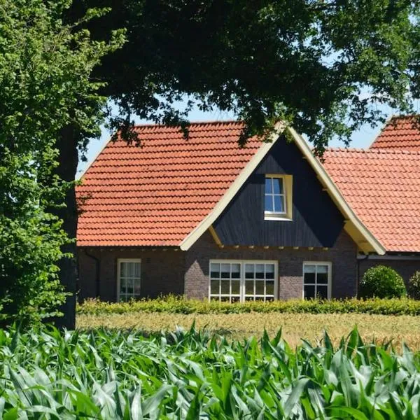 Vakantiehuisje de Wender, hotel en Ambt Delden