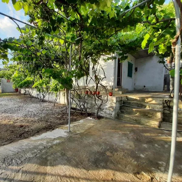 Jungle House, hotell sihtkohas Borsh