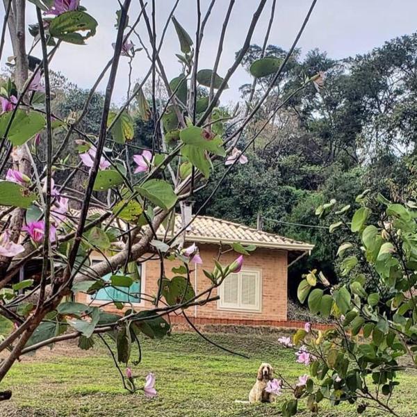 Recanto dos Beija Flores, Chalé lantana a