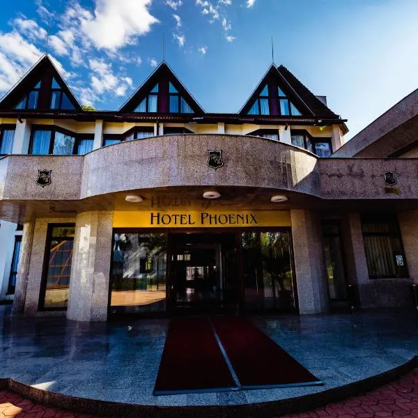 Complex Vața Băi, khách sạn ở Vaţa de Jos