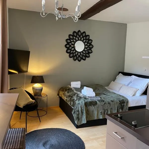 Bording Appartment La Romantica, hotel v destinaci Fulda