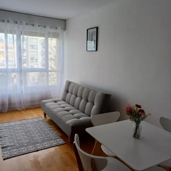 Appartement complet refait à neuf, viešbutis mieste Laxou