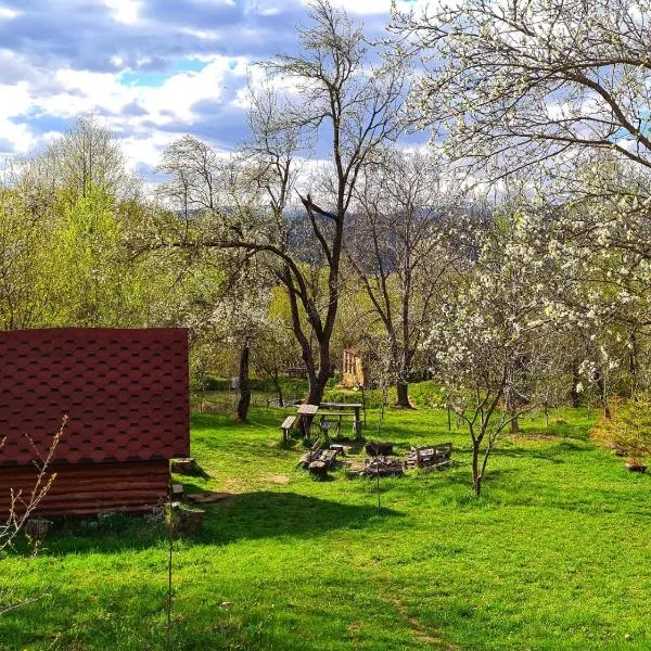Friendship Cabin (Friendship Land), hotel en Şelari