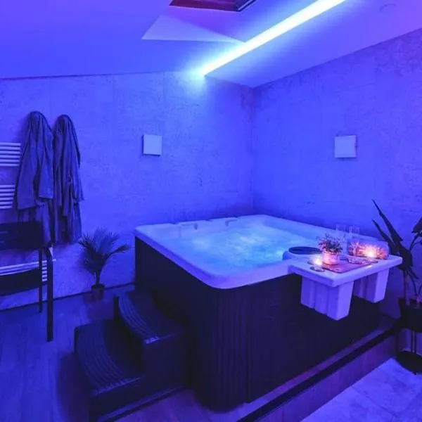 Le Lux Spa: Villeurbanne şehrinde bir otel