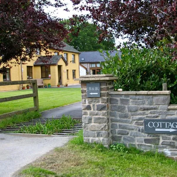 Pwllgwilym B & B, hotel in Beulah