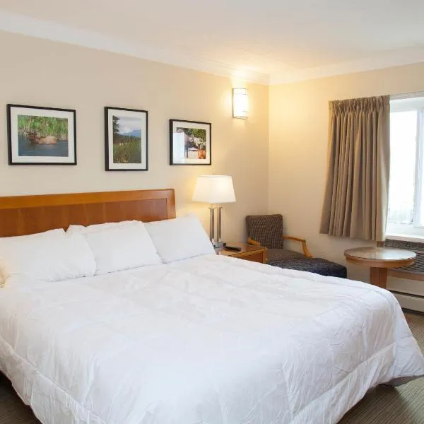 Twin Pine Inn & Suites, hotel di Brule Mines