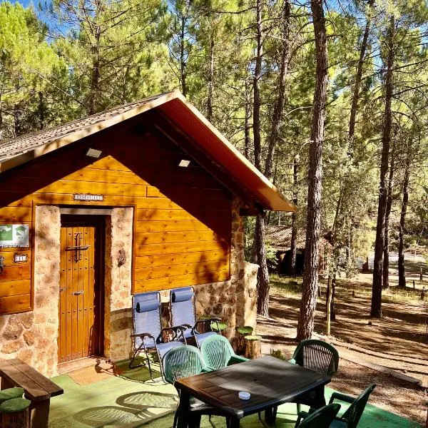 Casa Rural Campanilla, hotel in Riópar