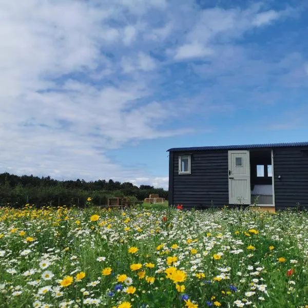 Barley Shepherd Hut - Snettisham Meadows, ξενοδοχείο σε Kings Lynn