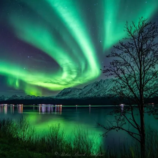 Lena Apartment Tromsø، فندق في Kvaløya