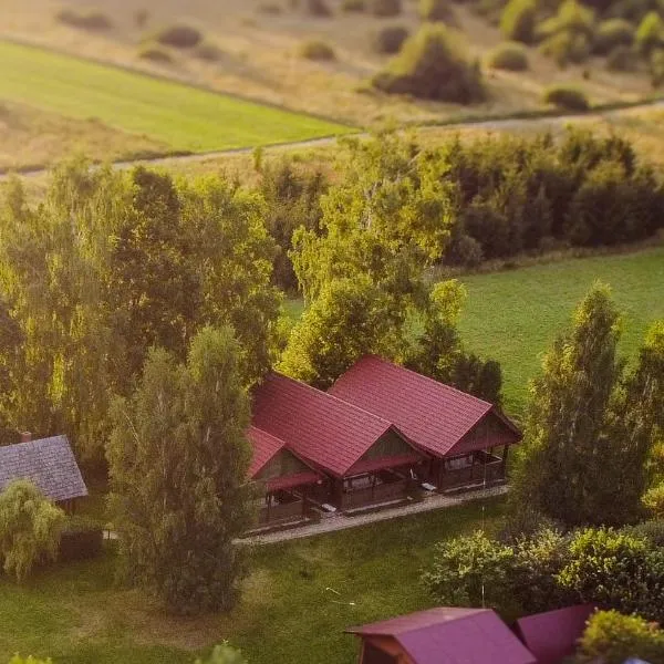 Wiśniowy Sad - Domki, hotel v destinaci Białowieża