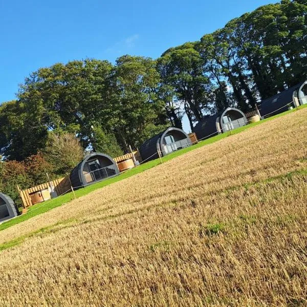 Eastfield Glamping Farm, hotel en Spennithorne