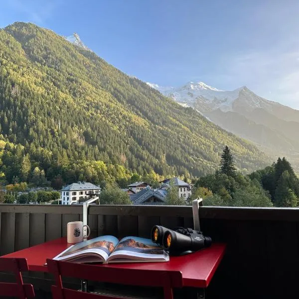 Mont-Blanc View - Panoramic Balcony - Chamonix Centre, hotel in Chamonix